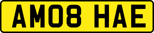 AM08HAE