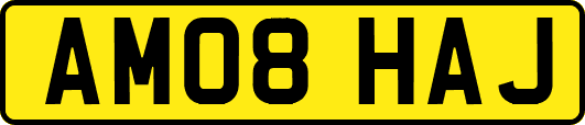 AM08HAJ