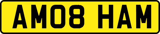AM08HAM