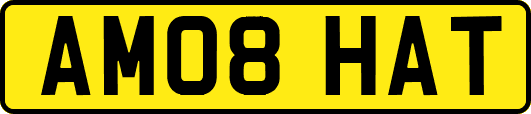 AM08HAT