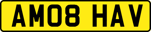 AM08HAV