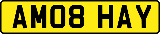 AM08HAY