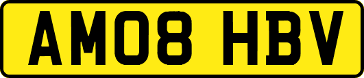 AM08HBV