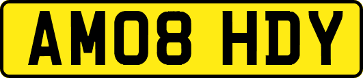 AM08HDY
