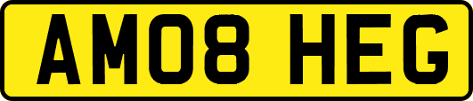 AM08HEG