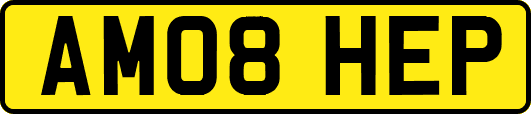 AM08HEP