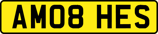 AM08HES