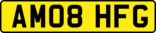 AM08HFG