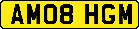 AM08HGM