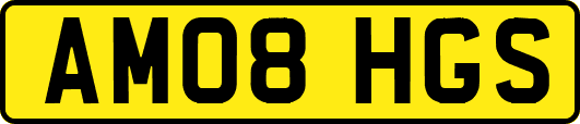 AM08HGS