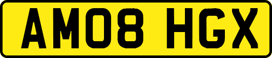 AM08HGX