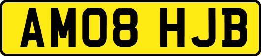 AM08HJB