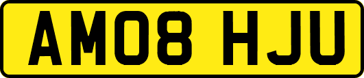 AM08HJU