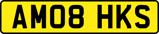 AM08HKS