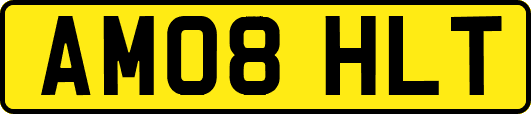 AM08HLT