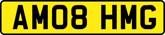 AM08HMG