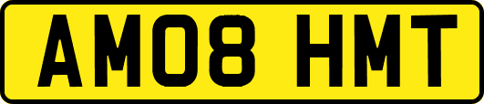 AM08HMT