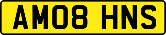 AM08HNS