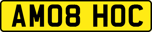 AM08HOC