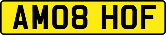 AM08HOF
