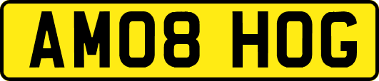 AM08HOG