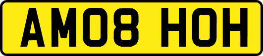 AM08HOH