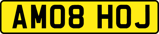 AM08HOJ