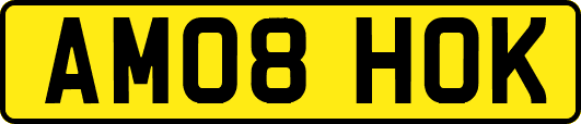 AM08HOK