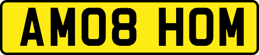 AM08HOM