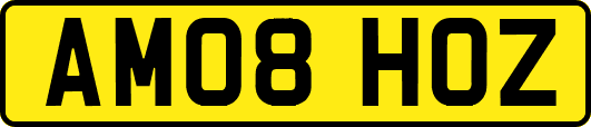 AM08HOZ