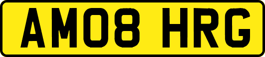 AM08HRG