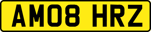 AM08HRZ