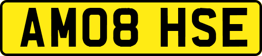 AM08HSE