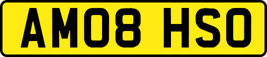 AM08HSO