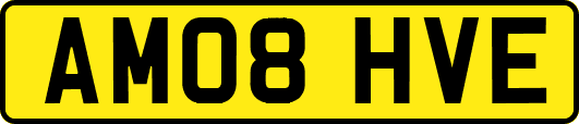 AM08HVE