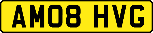 AM08HVG