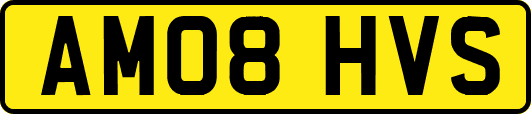 AM08HVS
