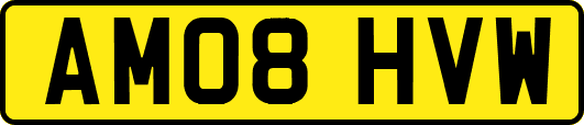 AM08HVW