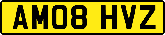AM08HVZ