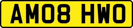 AM08HWO