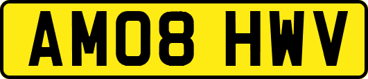 AM08HWV
