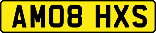 AM08HXS
