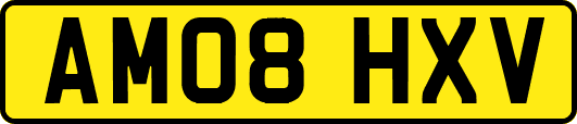 AM08HXV
