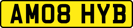AM08HYB