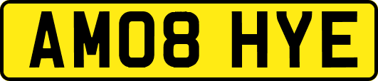 AM08HYE