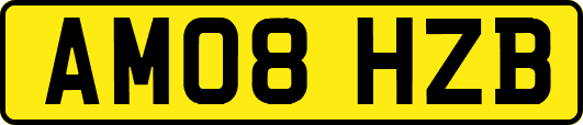 AM08HZB