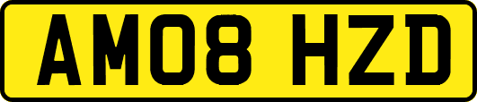 AM08HZD
