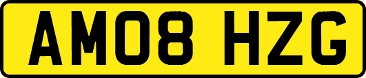 AM08HZG