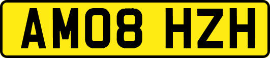 AM08HZH