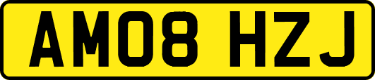 AM08HZJ
